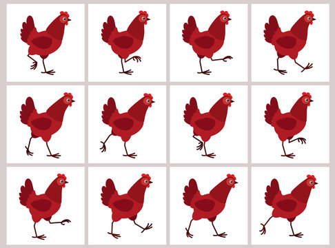 Walking Red Hen Animation Sprite Sheet Isolated On White Background