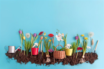 Spring flower garden