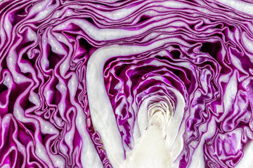 Obraz premium close up on sliced ​​purple cabbage