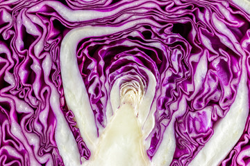 Fototapeta premium close up on sliced ​​purple cabbage