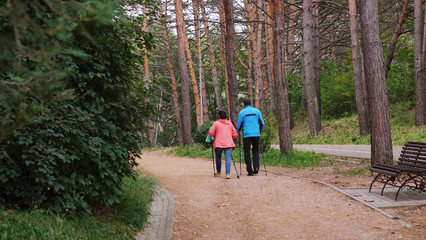 Obraz premium A woman and a man engaged in Nordic walking in the Park. Healthy lifestyle.