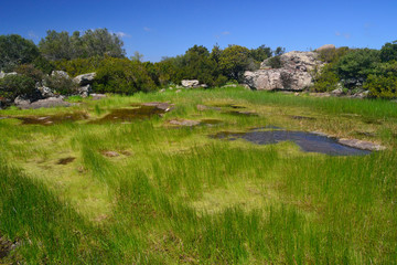 Vista di Monte Narcao