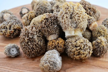 Mushrooms morels on a wooden board.