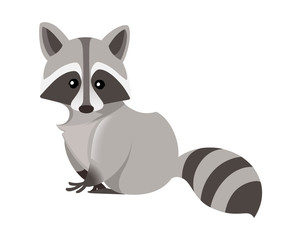 Fototapeta na wymiar Cute raccoon. North American raccoon, native mammal. Cartoon animal design. Flat vector illustration isolated on white background. Forest inhabitant. Wild animal with grey fur