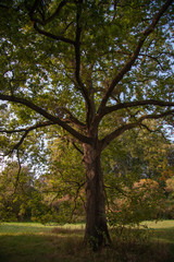 Spiegelung im Wasser