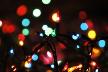 christmas lights