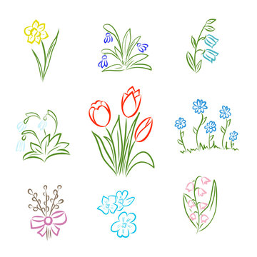 Spring and summer flower collection in doodle style with tulips, narcissus, willow, violet, snowdrop, bell, lily of the valley and cornflowers. Hand drawn colored vector illustration
