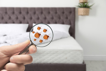 Woman with magnifying glass detecting bed bugs on mattress, closeup. Space for text