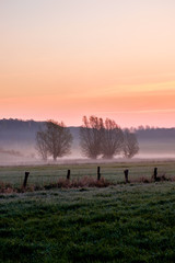 Sonnenaufgang mit Morgenrot, Nebel und Büschen, Schleswig-Holstein © sg-naturephoto.com 