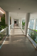 Glazed corridor, passage through the greenhouse, sunny corridor.