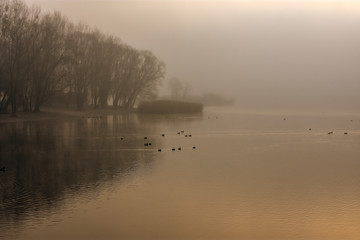Fototapeta na wymiar fog at the lake