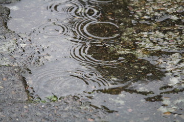 Fototapeta na wymiar Der Regen zieht Kreise