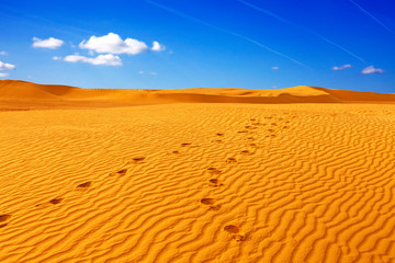 Beautiful day in Sahara. Pattern in the desert, Sahara - Tunisia. Visible large-scale structure of the sand! Vibrant Color.