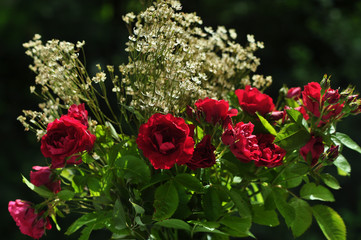 Blooming red roses and white flowers