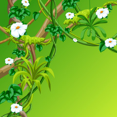 Twisted wild lianas branches background. Jungle vines plants.