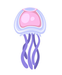 Sea pink and purple jellyfish. Tropical underwater animal. Medusa aquatic organism, cartoon style design. Flat vector illustration isolated on white background