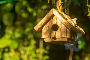 wooden birdhouse on tree