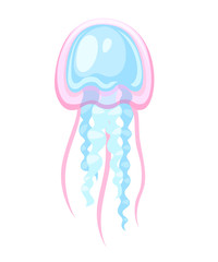 Sea pink and blue jellyfish. Tropical underwater animal. Medusa aquatic organism, cartoon style design. Flat vector illustration isolated on white background