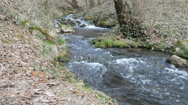 Nice long stream of the stream