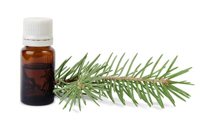Spruce essential oil in bottle and fir branches isolated on white background. Aromatherapy and spa products.