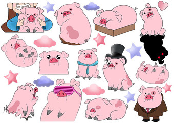  Pig  Plump