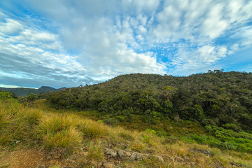 Fototapeta na wymiar Landscape view on sunrise cloud forest Worlds End in Horton Plains National Park Sri Lanka.