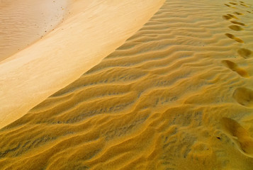 Ripples sands of the desert