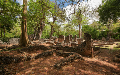 Ruins of ancient city Gede in African jungle near Watamu, Kenya.