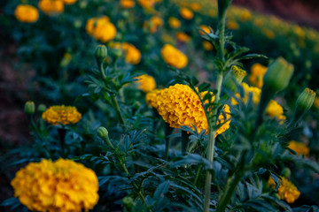  Beautiful natural scenery