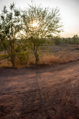 Beautiful natural scenery