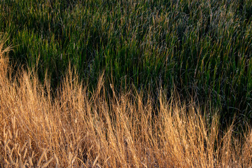 Beautiful natural scenery