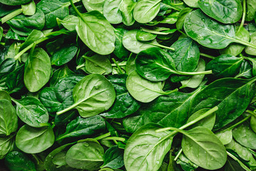 Draufsicht auf frische Bio-Spinatblätter. Gesundes grünes Essen und veganer Hintergrund.