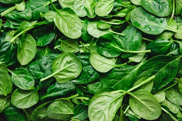Foto op Plexiglas Eten Bovenaanzicht op verse biologische spinaziebladeren. Gezonde groene voeding en veganistische achtergrond.
