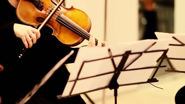 expressive violin playing in an orchestra at an event