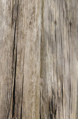 Natural old wood texture. Old board background.