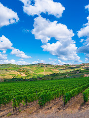 Fototapeta na wymiar Tuscany landscape and clouds