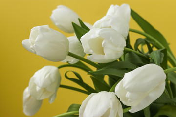 Fototapeta na wymiar Spring bouquet of fresh white tulips on a yellow background