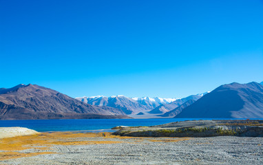 Pangong lake, Ladakh, India 