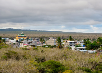Puerto Ayora, elevated view, Santa Cruz or Indefatigable Island, Galapagos, Ecuador