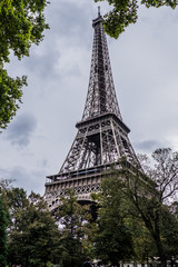 Eiffel Tower from behind the trees.​