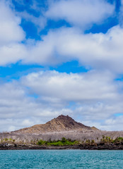 Landscape of the Dragon Hill area, Santa Cruz or Indefatigable Island, Galapagos, Ecuador