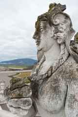 Fototapeta na wymiar Portrait of a sphinx in Austria