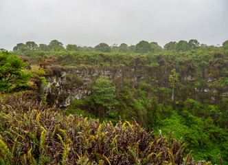 Fototapeta na wymiar Los Gemelos Volcano, Santa Cruz or Indefatigable Island, Galapagos, Ecuador