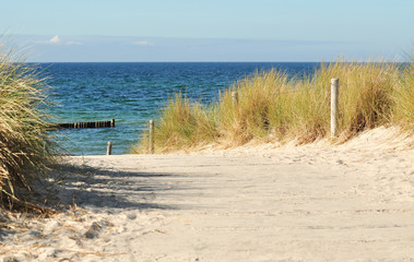 Fototapeta na wymiar Strandzugang mit Düne und Meerblick