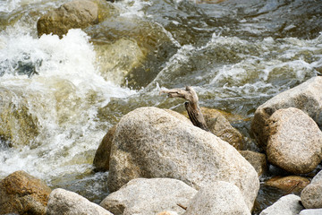 Close up fast flowing water between rocks in the mountain, small rocks cascade. Walker Canyon, California, San Diego.