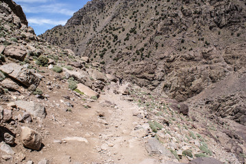 Maroko Atlas Wysoki © Piotr Czerkawski