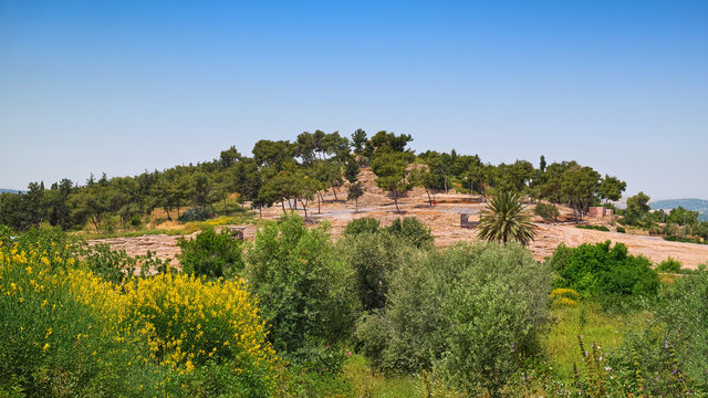 Hill in Zippori National Park of Israel. The site of archaeological exposition daten of ancient ages is partially hidden by greenery of foreground.