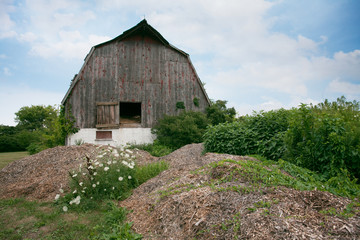 Fototapeta na wymiar Places Southern Ontario Amherstburg Dilapidated Abandoned Barn Alternate View