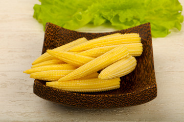 Young baby corn