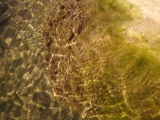 Obraz premium roca con algas